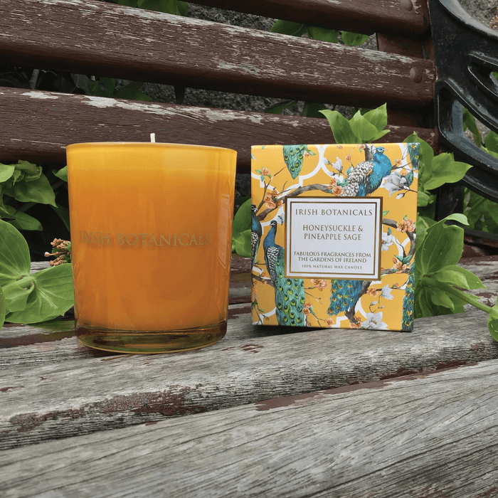 Irish Botanicals Candles - Honeysuckle And Pineapple Sage | {{ collection.title }}