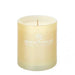 Irish Botanicals Candles - Winter Wonderland - LemonSalt