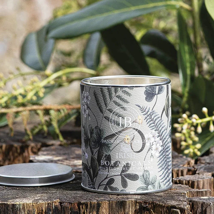 Irish Botanicals Dandelion & Dock Leaf Tin Candle (9cm) - LemonSalt