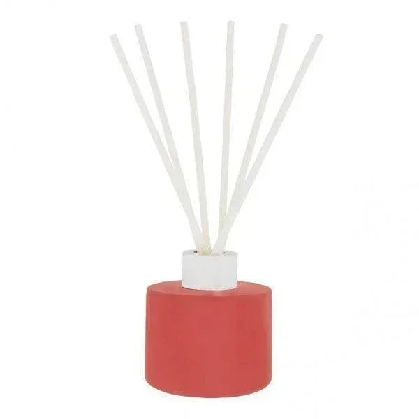 irish-botanicals-diffuser-wild-winter-berries-lemonsalt-41465