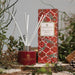 irish-botanicals-diffuser-wild-winter-berries-lemonsalt-53822