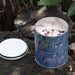 Irish Botanicals Rosehip & Bramble Leaf Tin Candle (9cm) - LemonSalt