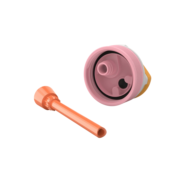 Kambukka Lagoon Kids Water Bottle 400 ML - Fairy Wood