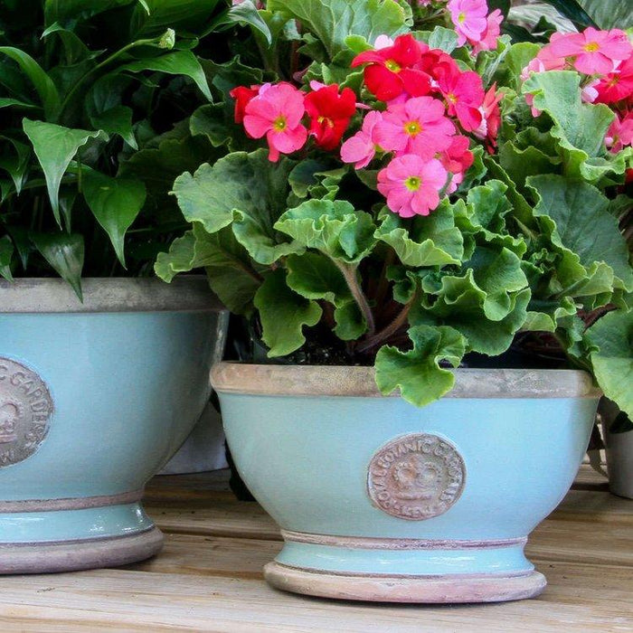 Kew Gardens Footed Bowls Scandinavia - Blue - LemonSalt