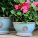 Kew Gardens Footed Bowls Scandinavia - Blue - LemonSalt
