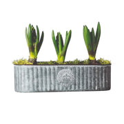 Kew Gardens Long Ribbed Zinc Planter (20x8x7cm)