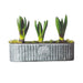Kew Gardens Long Ribbed Zinc Planter (20x8x7cm) - LemonSalt