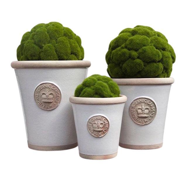 Kew Gardens Pots Bone - Small (16cm) - LemonSalt