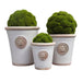 Kew Gardens Pots Bone - Small (16cm) - LemonSalt