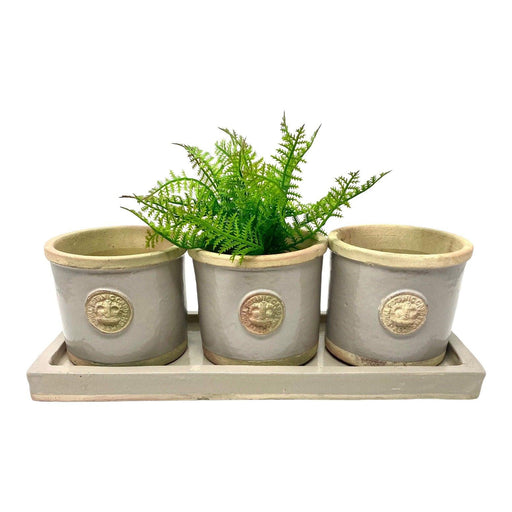Kew Gardens Round Herb Pot Set Almond With Tray - LemonSalt