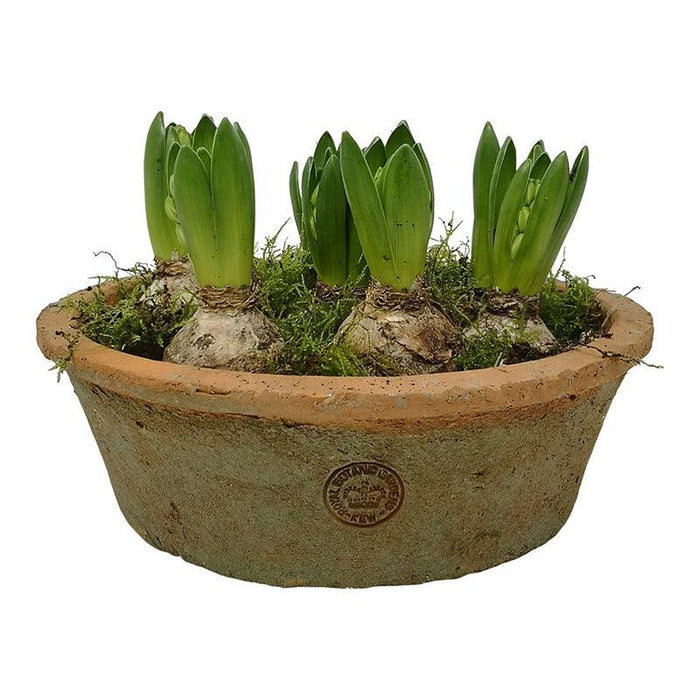 kew-gardens-terracotta-dish-planter-antique-red-25x8-5cm-lemonsalt-85335