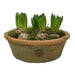 kew-gardens-terracotta-dish-planter-antique-red-25x8-5cm-lemonsalt-85335