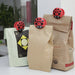 kikkerland-set-of-6-bag-clips-ladybug-lemonsalt-63731_0b8a0ca4-74b4-43ed-9925-56ec00913fea