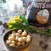 Kirkland Signature Dry Roasted Macadamia Nuts with Sea Salt (680g) - LemonSalt