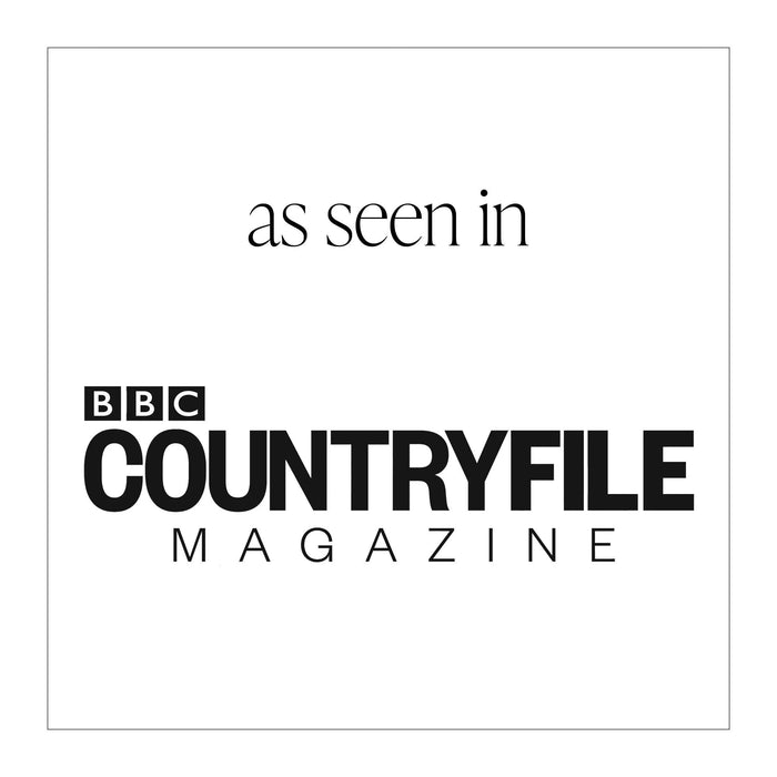 Liga Beach Clean Placemats - Round (Set of 4)