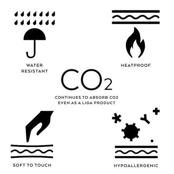 Liga Cork Placemat - Lobster