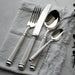 Luxury Stainless Steel Tableware Cutlery Set of 4 - LemonSalt