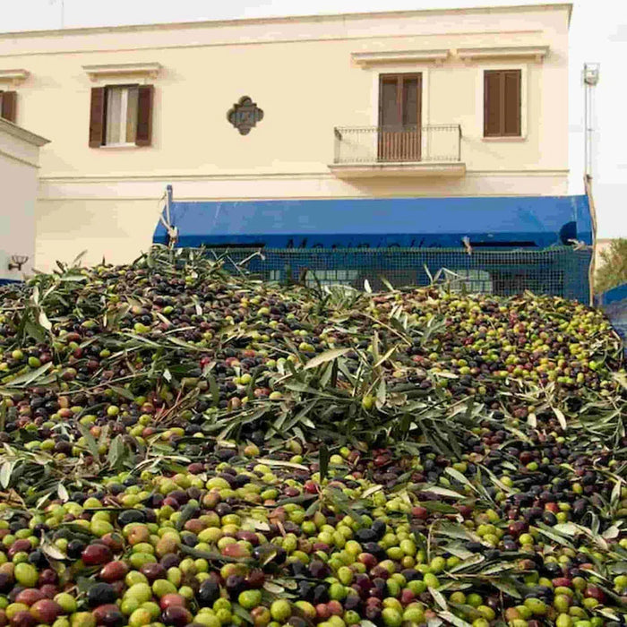 Galantino Fantasia Sky Blue Extra Virgin Olive Oil (500ml)