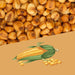 Perello Maize Kernels Kikones (1kg) - LemonSalt