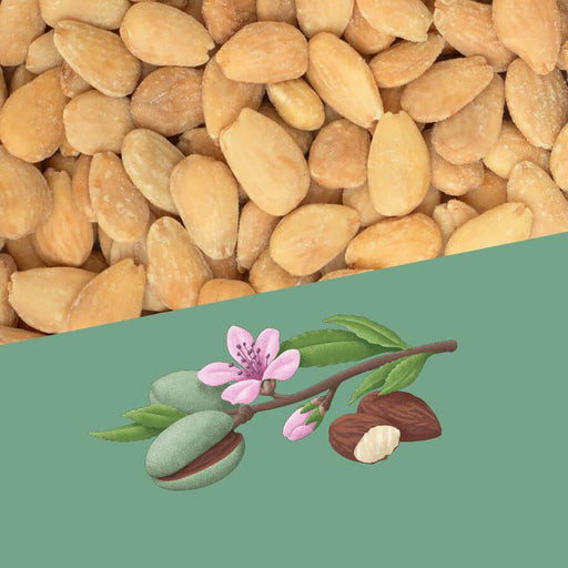 Perello Salted Catalan Almonds (1kg) - LemonSalt