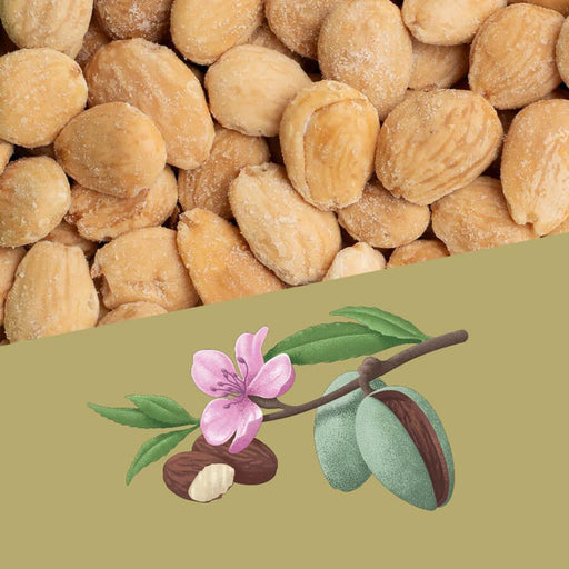 Perello Salted Marcona Almonds (1kg) - LemonSalt