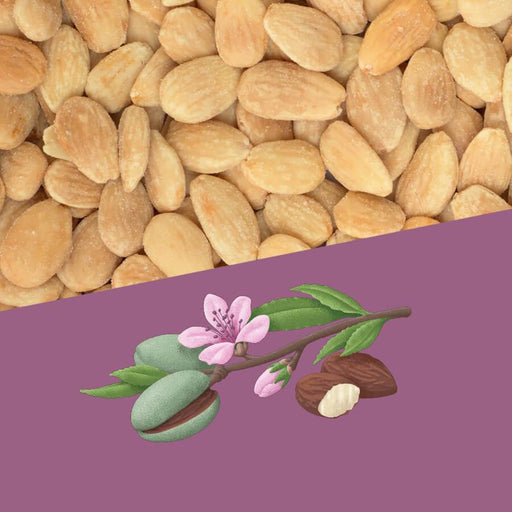 Perello Smoked Catalan Almonds (1kg) - LemonSalt