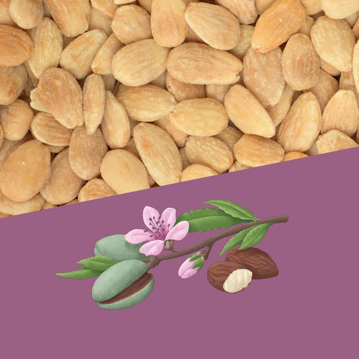 Perello Smoked Catalan Almonds (1kg) - LemonSalt