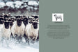pipers-farm-the-sustainable-meat-cookbook-lemonsalt-11067_59a1c0a4-f79e-449f-bd14-77b4e6e6f8a3