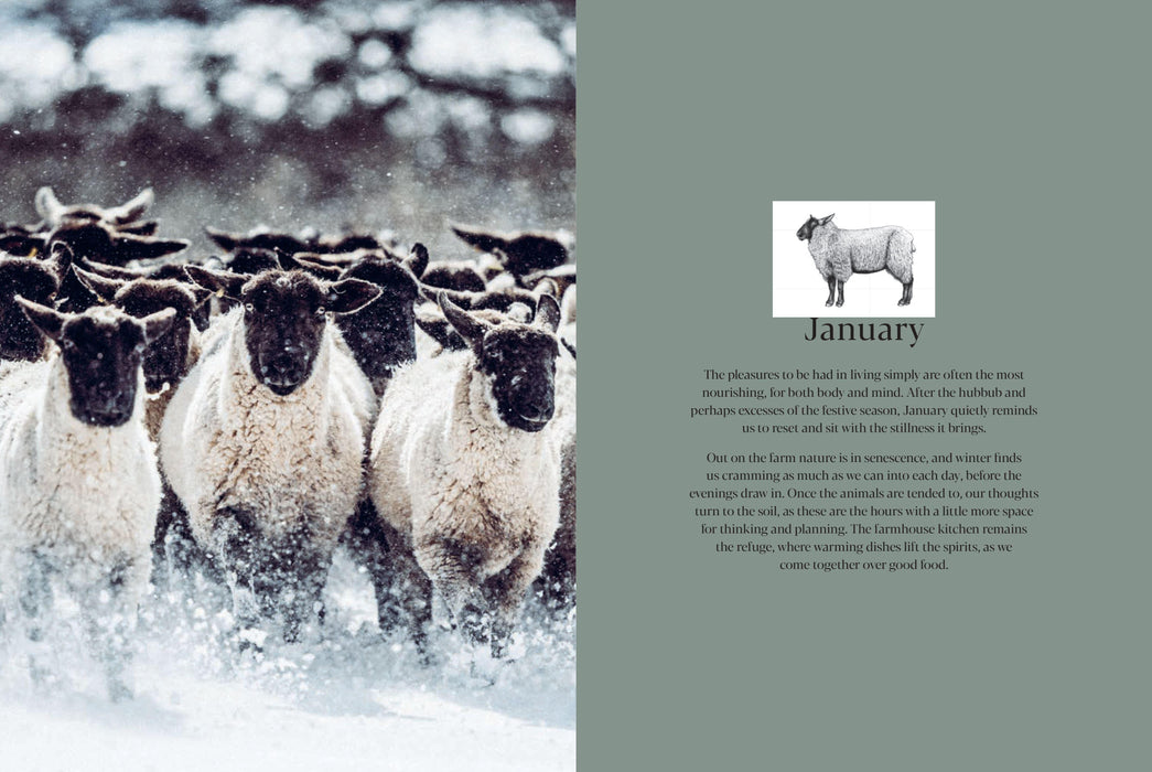 Pipers Farm: The Sustainable Meat Cookbook | {{ collection.title }}