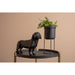 Present Time ORIGAMI Standing Dog Statue – Matt Black - LemonSalt