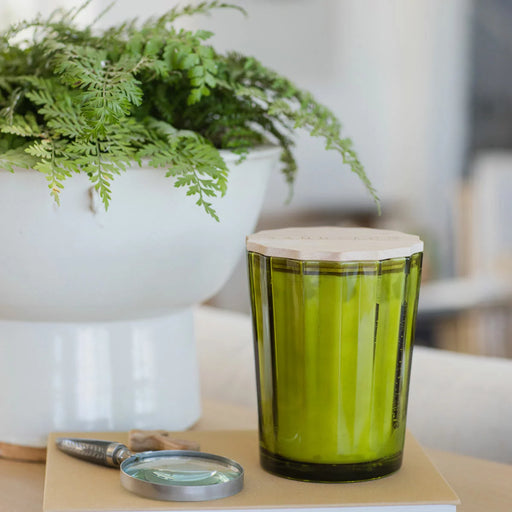 Sand & Fog Scalloped Fragranced Candle - Frazier Fir (3.3kg) - LemonSalt