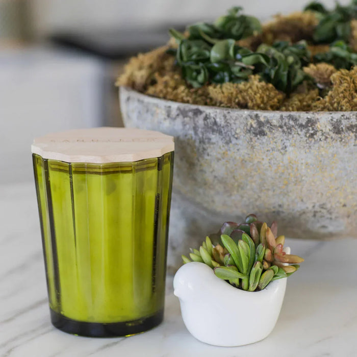 Sand & Fog Scalloped Fragranced Candle - Frazier Fir (3.3kg) - LemonSalt