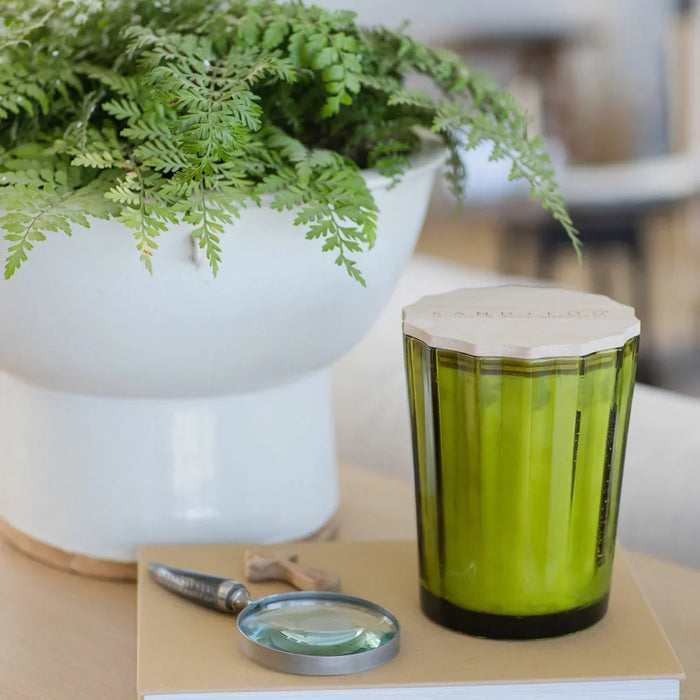 Sand & Fog Scalloped Fragranced Candle - Frazier Fir (3.3kg) - LemonSalt