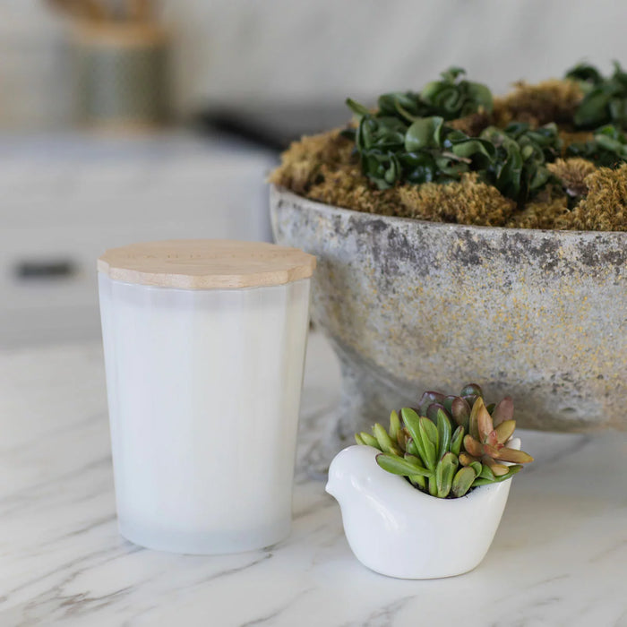 Sand & Fog Scalloped Fragranced Candle - Ocean Mist (3.3kg) - LemonSalt