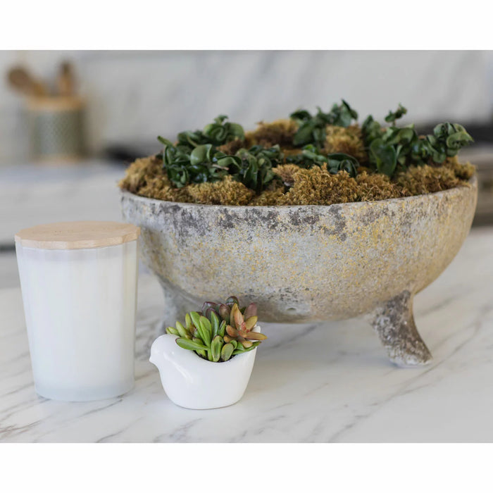 Sand & Fog Scalloped Fragranced Candle - Ocean Mist (3.3kg) - LemonSalt