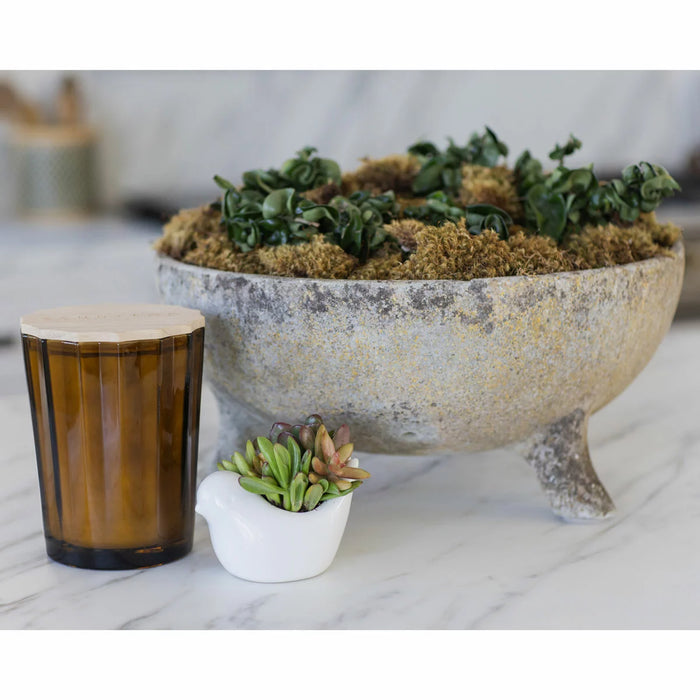 Sand & Fog Scalloped Fragranced Candle - Teak Tobacco (3.3kg) - LemonSalt