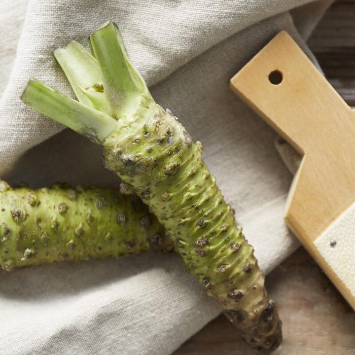 S&B Wasabi Wasabi Paste in Tube (43g) | {{ collection.title }}