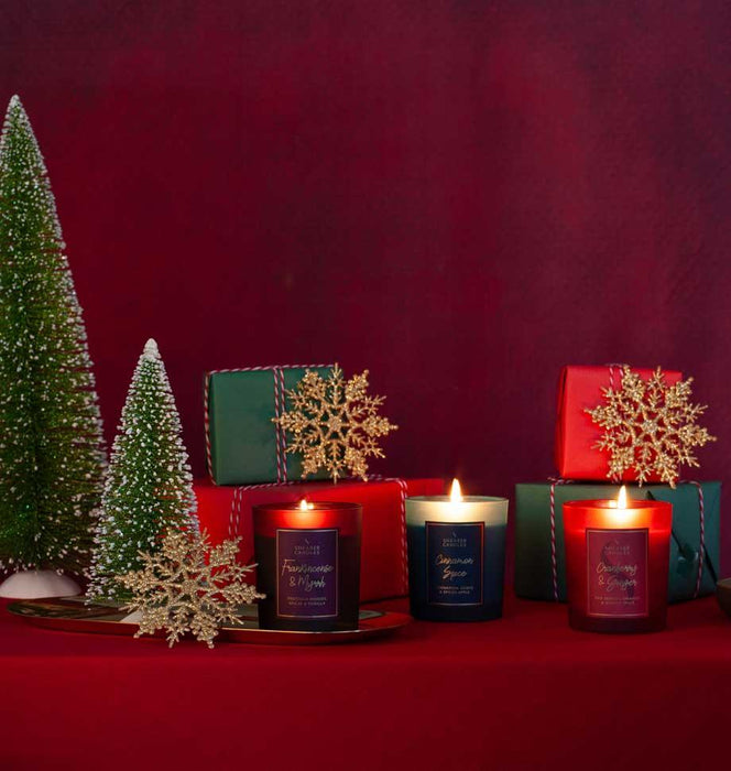 Shearer Candles Cranberry and Ginger Jar Candle - LemonSalt