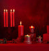 Shearer Candles Cranberry and Ginger Jar Candle - LemonSalt