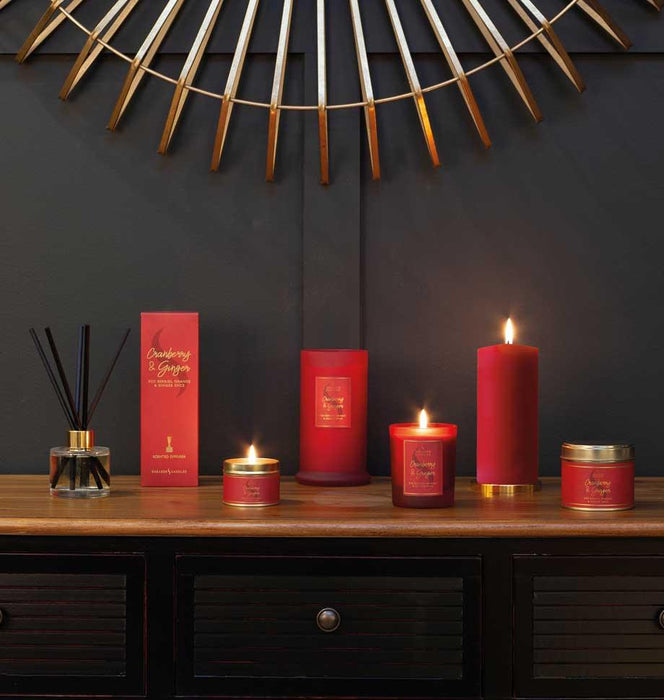 Shearer Candles Cranberry and Ginger Large Tin Candle - LemonSalt