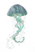 shoeless-joe-jellyfish-single-wall-art-lemonsalt-74918_5bb5239d-78fa-470b-a9f4-b3cabc1d3814