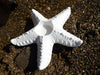 Shoeless Joe Porcelain Starfish Votive | {{ collection.title }}
