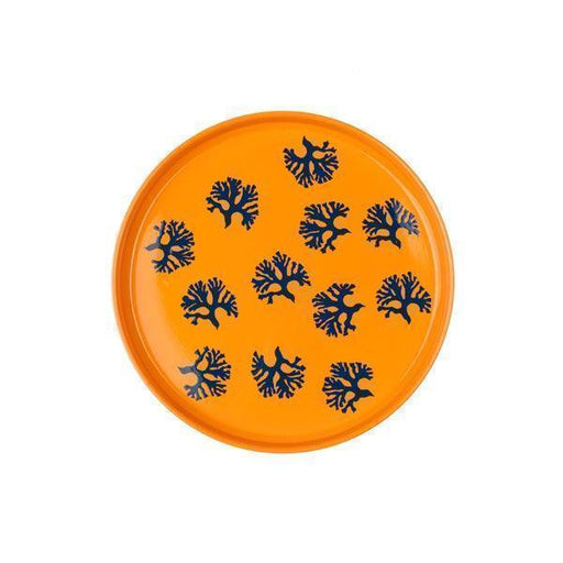 Shoeless Joe Seaweed Fan Tray - LemonSalt