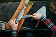 image_71e94669-166b-474a-81aa-6bd7126ed737