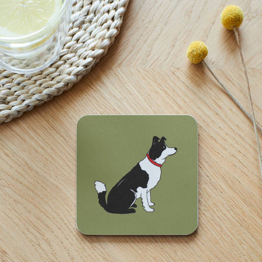Sweet William Coaster - Border Collie - LemonSalt