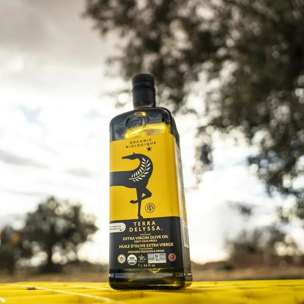 Terra Delyssa Organic Extra Virgin Olive Oil (1Lx2) - LemonSalt