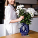 the-gluggle-jug-factory-pitcher-vase-extra-large-cobalt-blue-1-2l-lemonsalt-31913