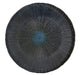 tokyo-design-studio-sky-blue-plate-29-7cm-lemonsalt-83673