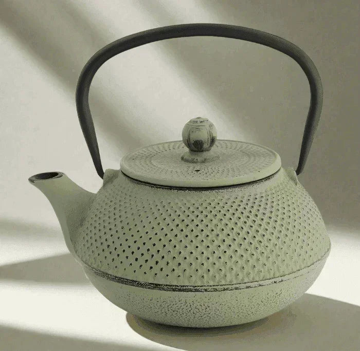 Tokyo Design Studio WY Iron Stovetop Kettle Arare - Green/Grey (0.8L) - LemonSalt