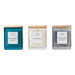 Torc Fragranced Candle (3 Pack) - LemonSalt